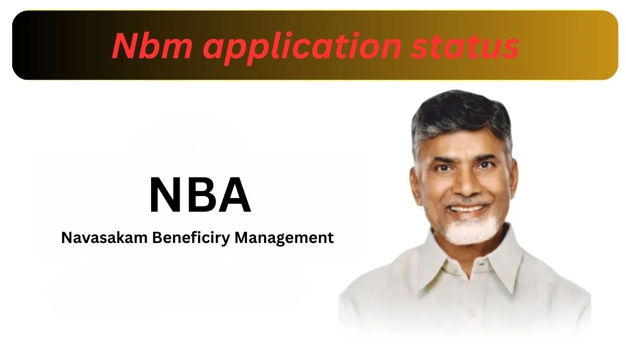 nbm application status